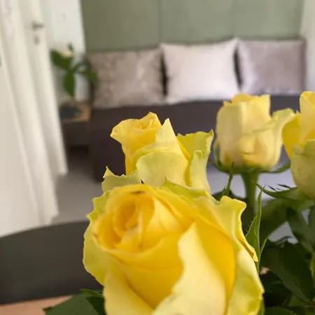 Počitniška hiša Hisa Uran *