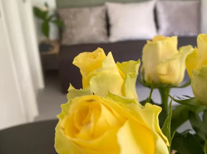 Dom wakacyjny Hisa Uran *